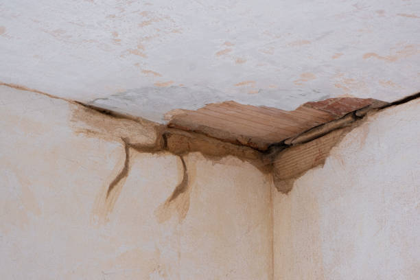 Best Residential water damage restoration  in Garnett, KS