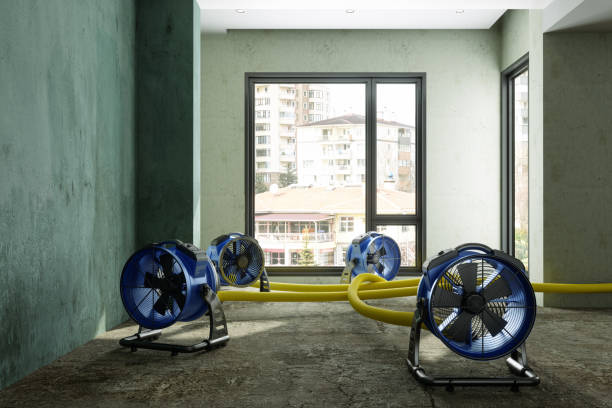 Water damage restoration experts in KS